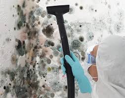 Best Biohazard Mold Removal  in Orchard Homes, MT